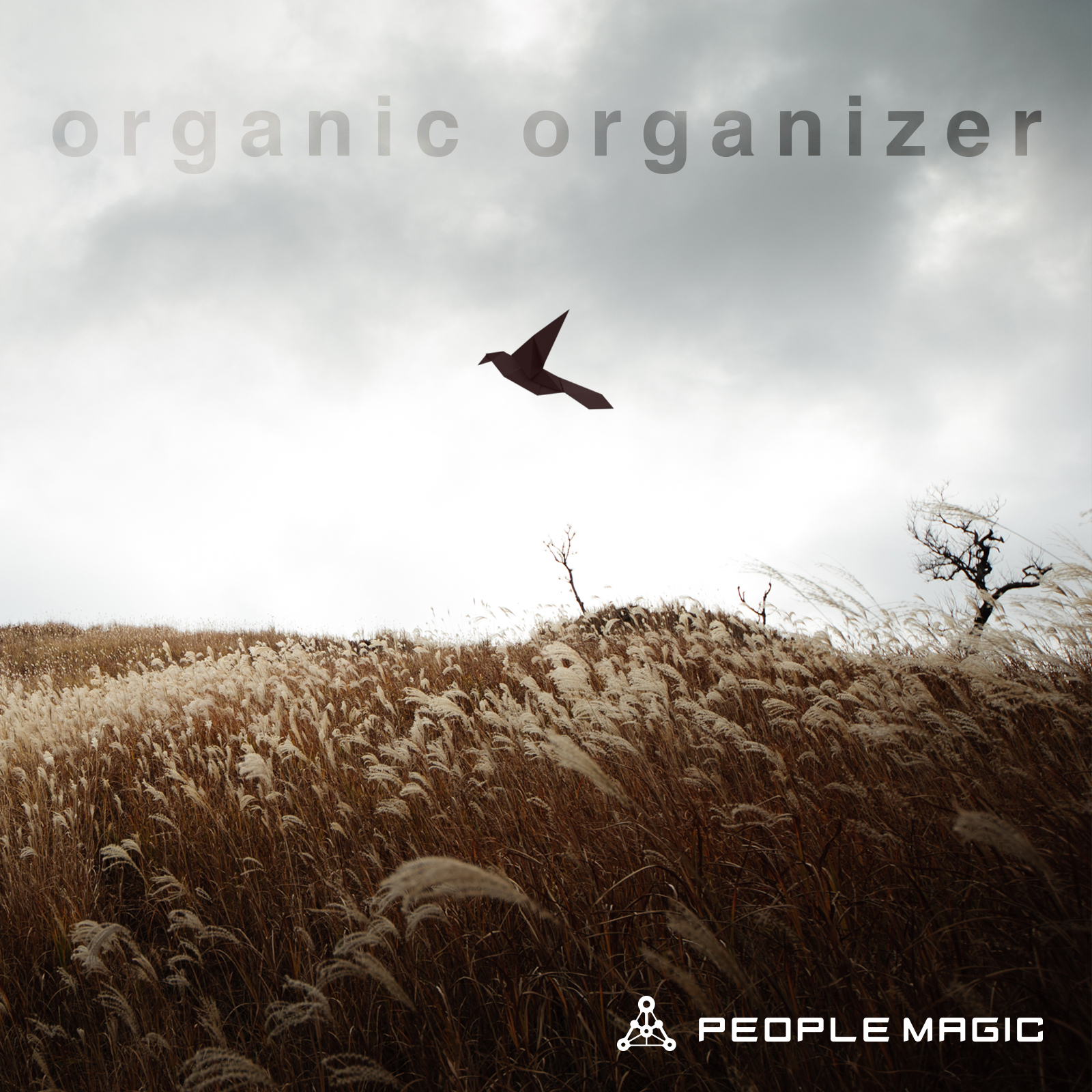 organic organizer